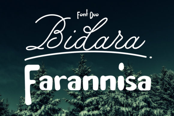 Enhance Your Web Design with Bidara Farannisa Font