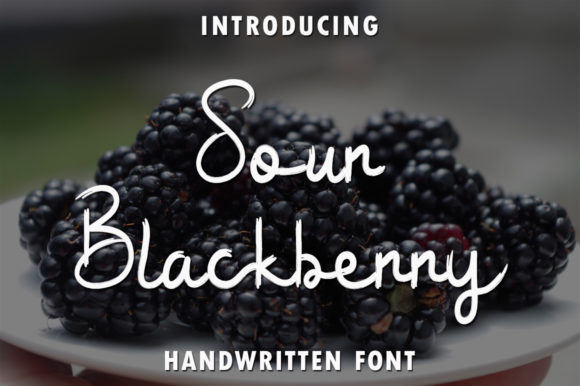 Enhance Your Web Design with Sour Blackberry Font