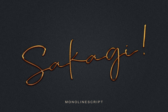 Exploring Sakagi: A Fresh Take on Modern Typography