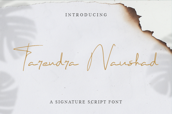 Tarendra Naushad: A Stylish Script Font for Crafters